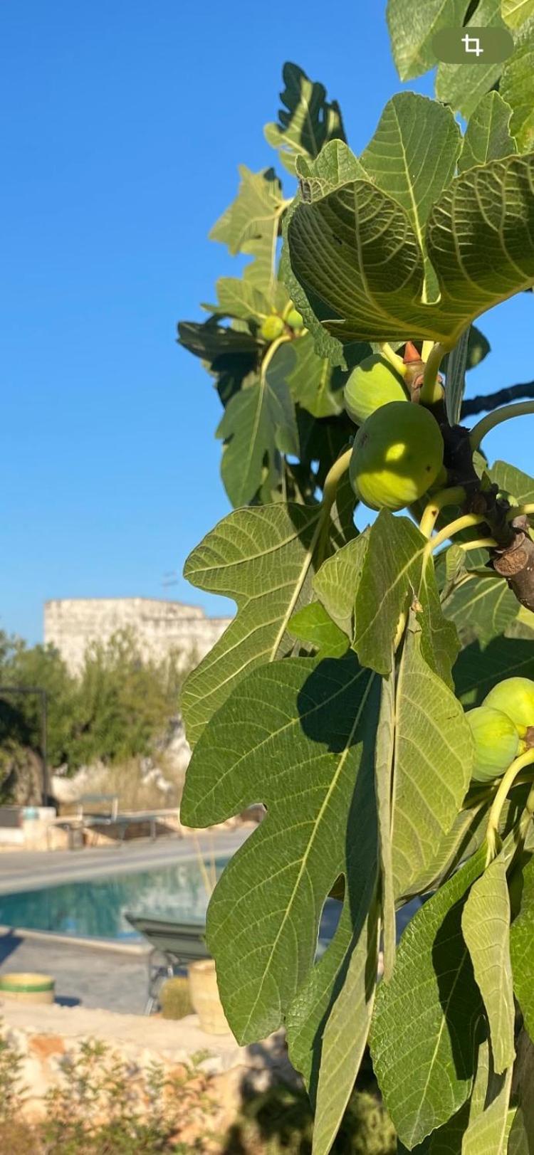 Masseria Serafino Ostuni Exterior foto